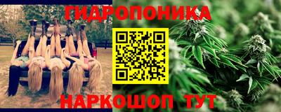 индика Будённовск