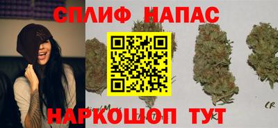индика Будённовск