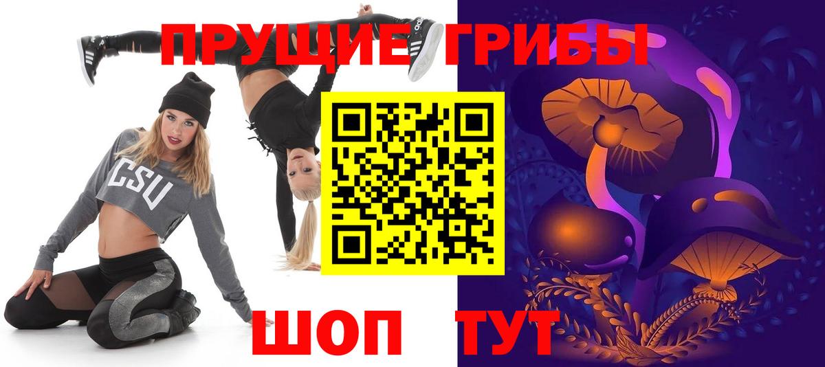 где можно купить   Галлюциногенные грибы Psilocybe  Вход с VPN  Карабулак  Псилоцибиновые грибы ЛСД 