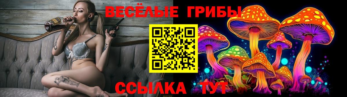 Псилоцибиновые грибы GOLDEN TEACHER Карабулак